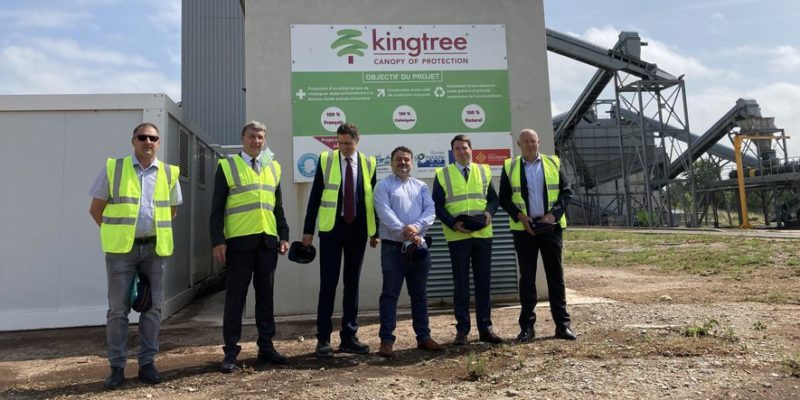 La Dépêche - King Tree 2021